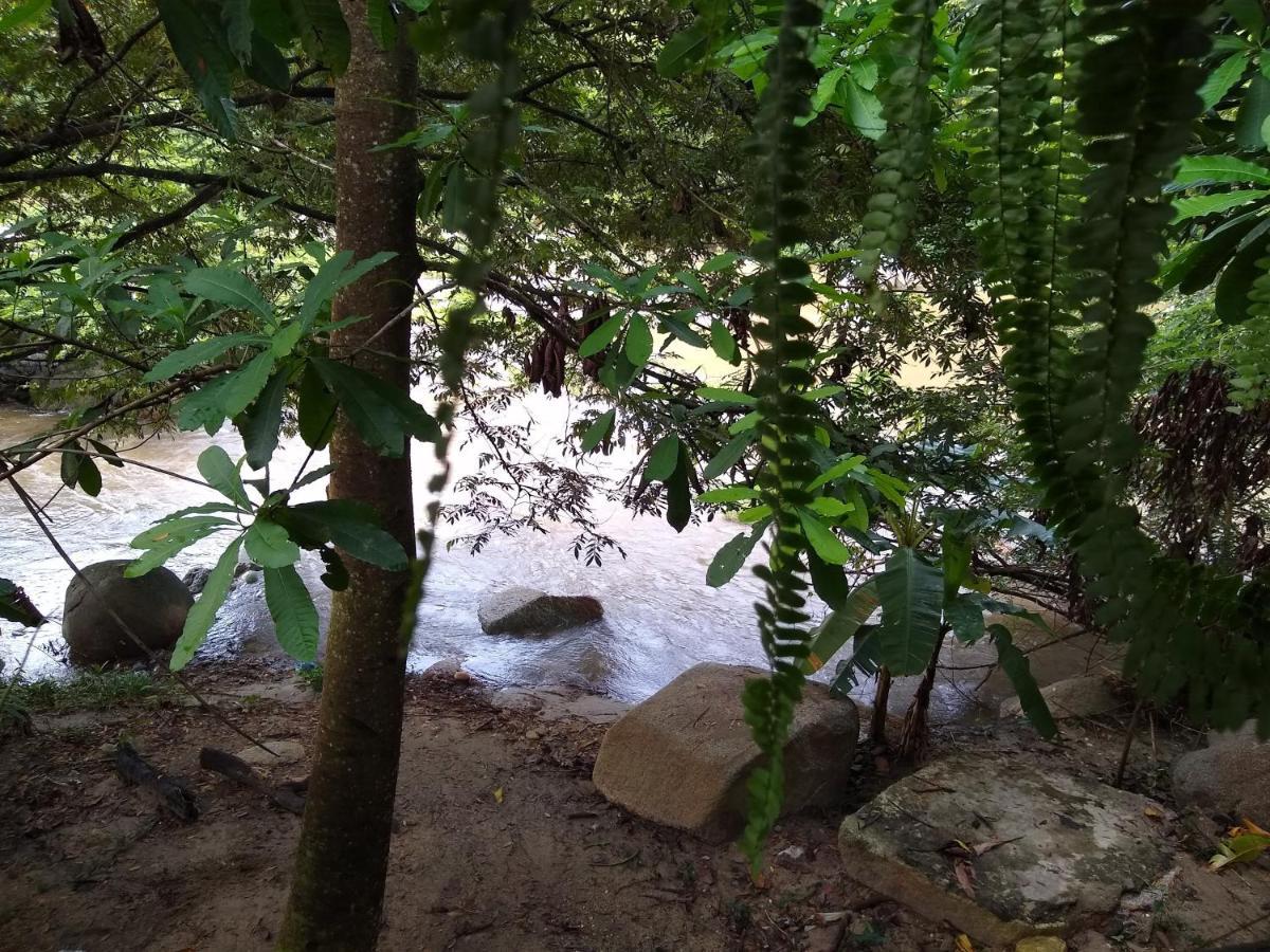 Casa Kumake Tayrona Villa เอลไซโน ภายนอก รูปภาพ