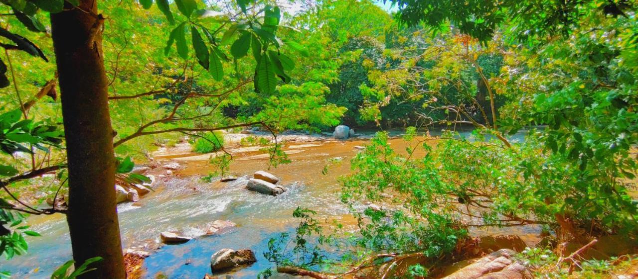 Casa Kumake Tayrona Villa เอลไซโน ภายนอก รูปภาพ