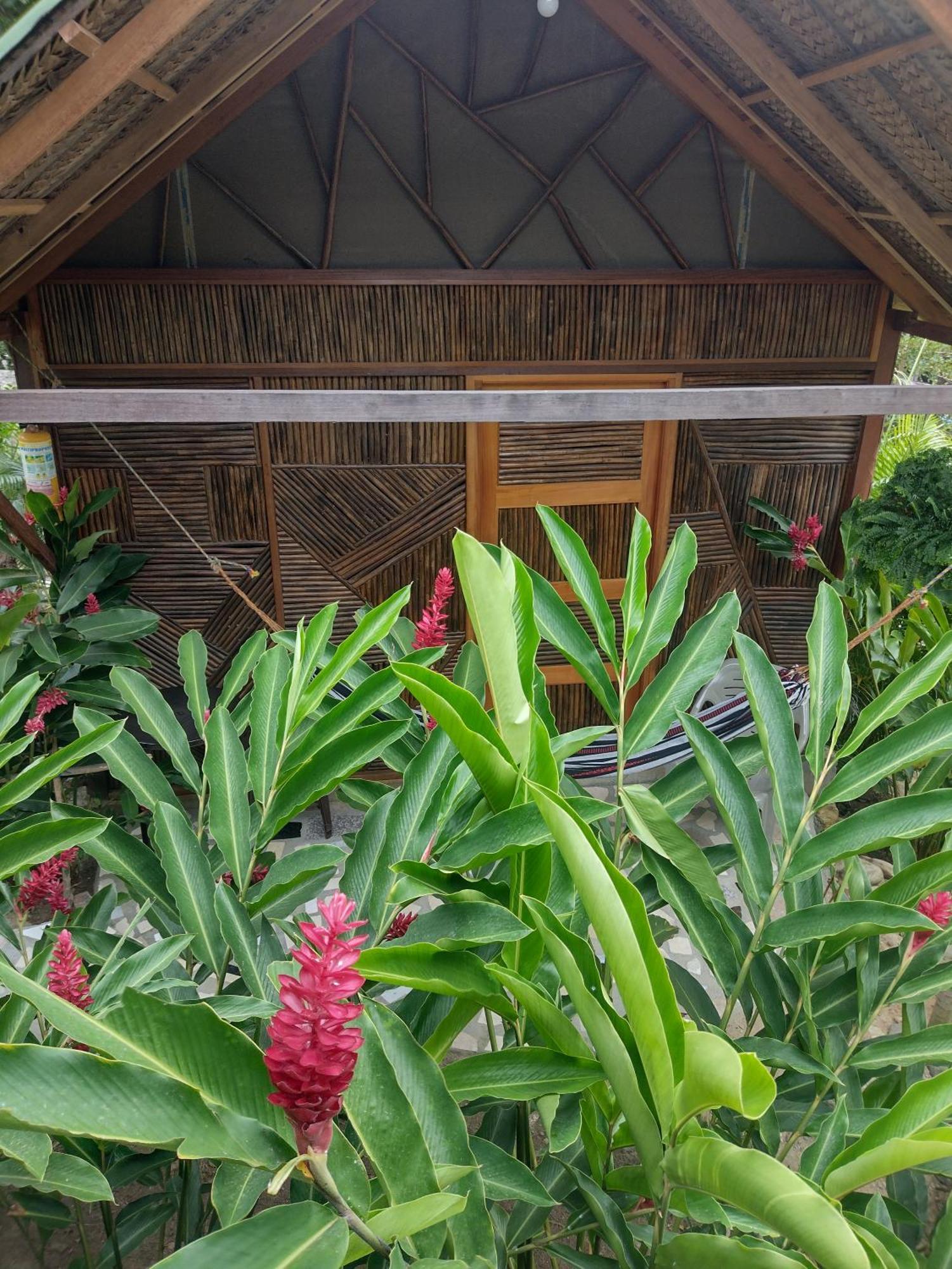 Casa Kumake Tayrona Villa เอลไซโน ภายนอก รูปภาพ