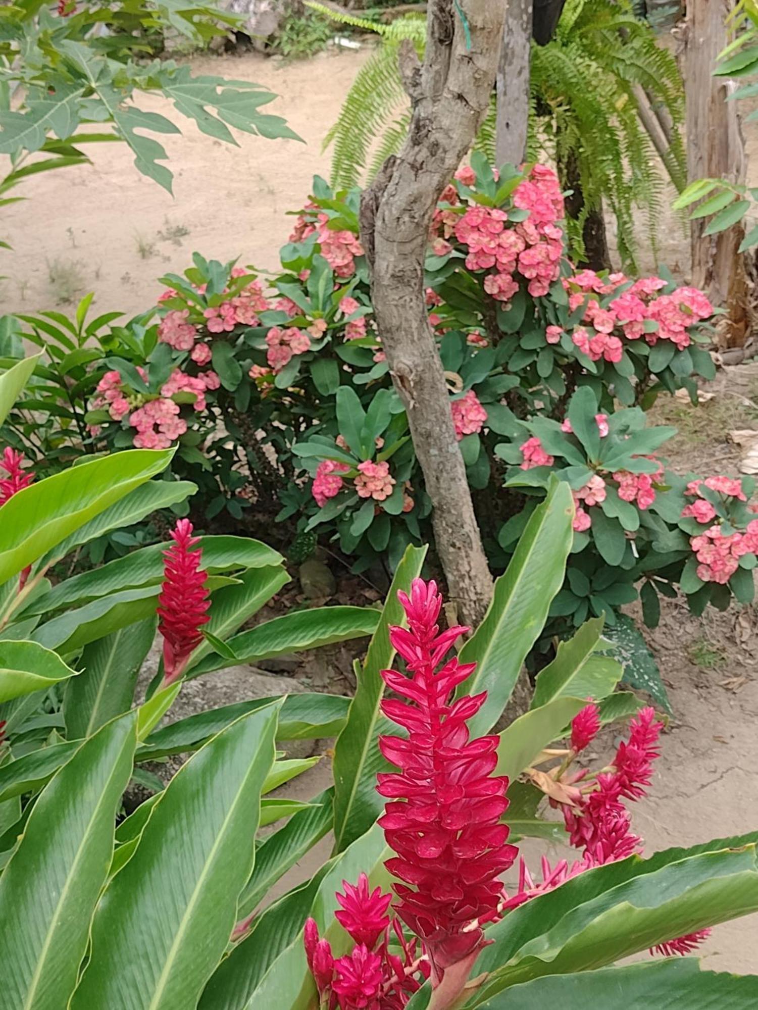 Casa Kumake Tayrona Villa เอลไซโน ภายนอก รูปภาพ