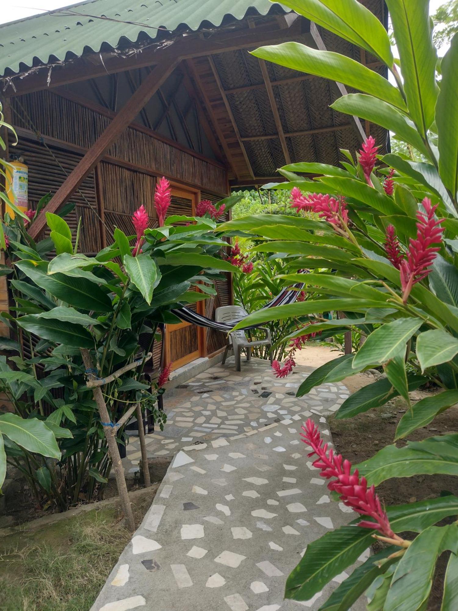 Casa Kumake Tayrona Villa เอลไซโน ภายนอก รูปภาพ