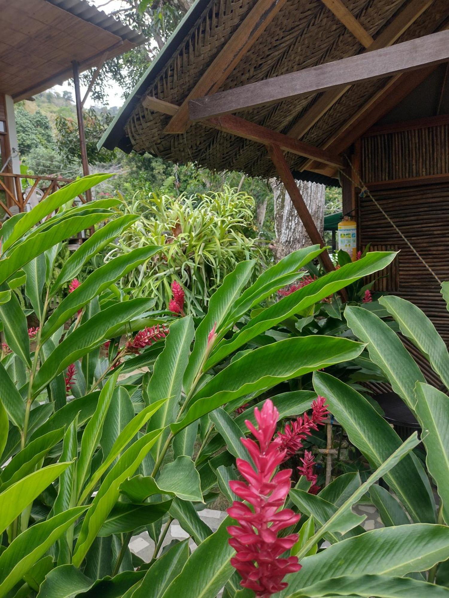 Casa Kumake Tayrona Villa เอลไซโน ภายนอก รูปภาพ